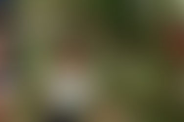 【団行事】8/10 水鉄砲づくり