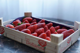 Bio-Erdbeeren