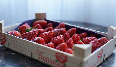 Fresas organicas