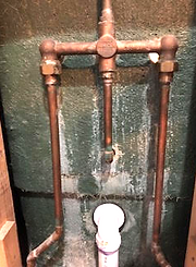 Master Bathroom Shower Repair 1_edited.j