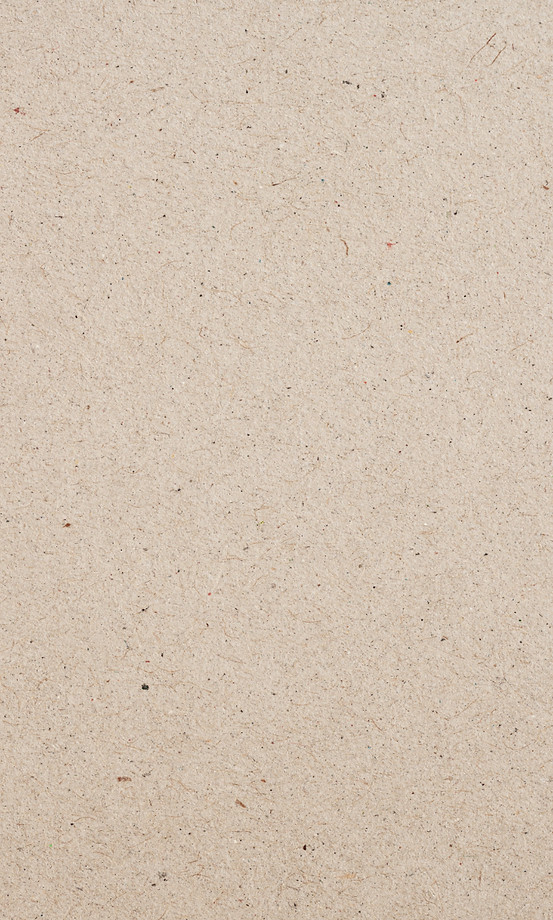 Paper Texture_edited_edited_edited.jpg