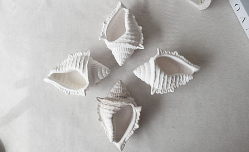 Shell1.JPG