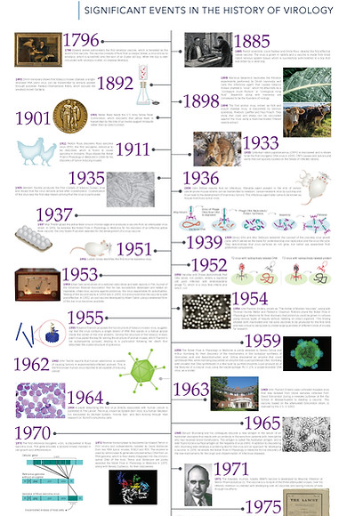 History of Virology.jpg