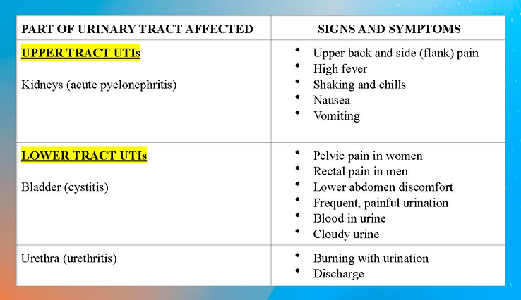 UTI chart (1).png