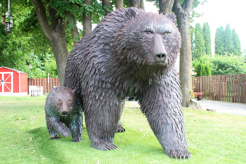 Sow Grizzly Bear and Cub