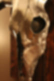 Steel Bull Skull