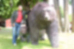 Metal Art Grizzly Bear Sculpture
