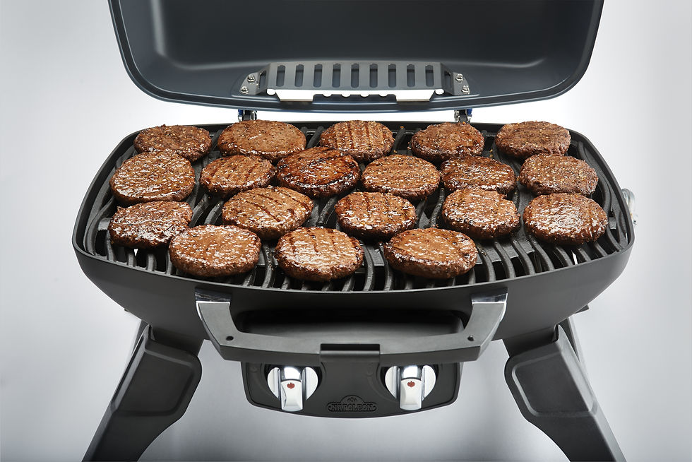 Miniature : NAPOLÉON TRAVELQ TQ285