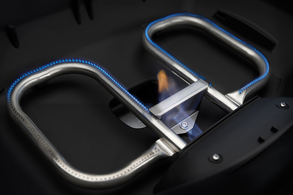 Miniature : NAPOLÉON TRAVELQ TQ285