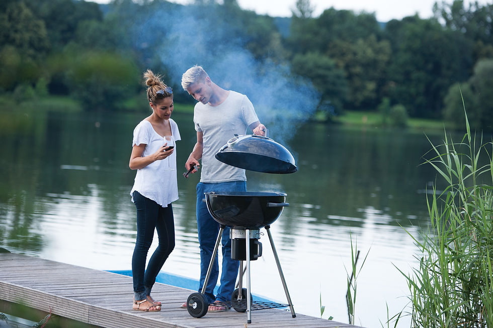 Miniature : PRO22K-LEG-2 AU CHARBON