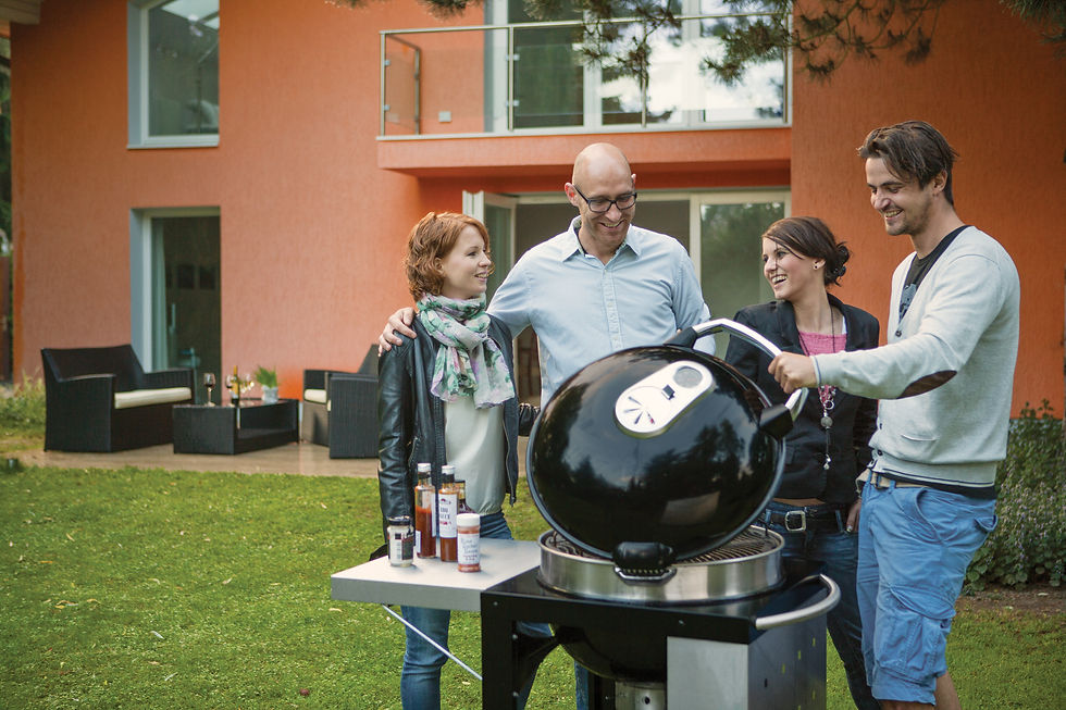 Miniature : NAPOLÉON NK22CK-C AU CHARBON