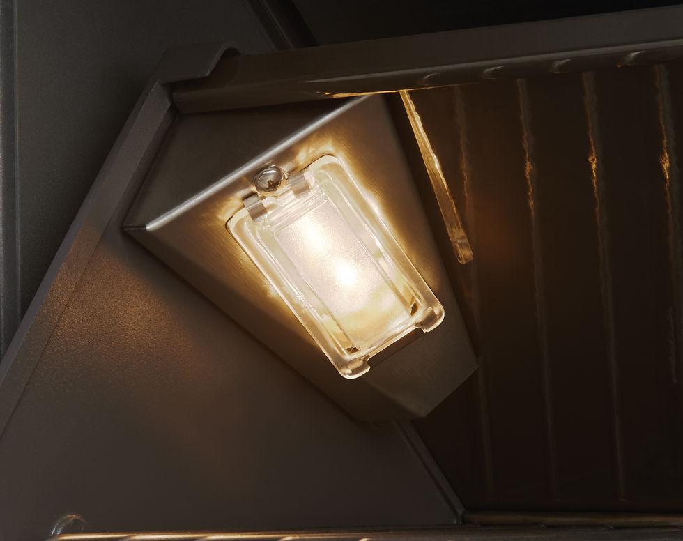 Miniature : NAPOLÉON PRESTIGE PRO PRO825RSBI