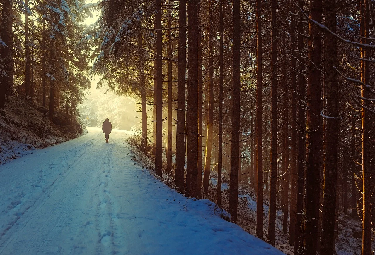 marche en plaine nature