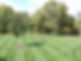 Lawn Mowing Pictures.jpg