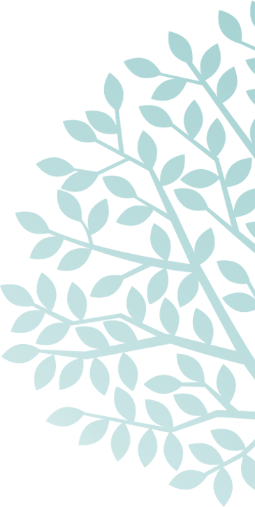 treetamsintaylor.gif