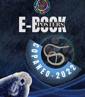 E-BOOK COPANEO 2022-LIMA PERÚ.png