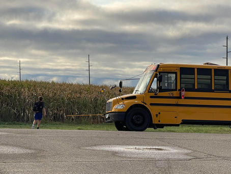 Wild & Sacred Morning's