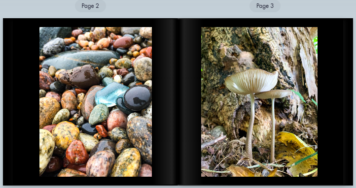Thumbnail: Lustre Photo Book
