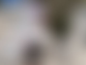 Scottish Children’s Lottery Funding