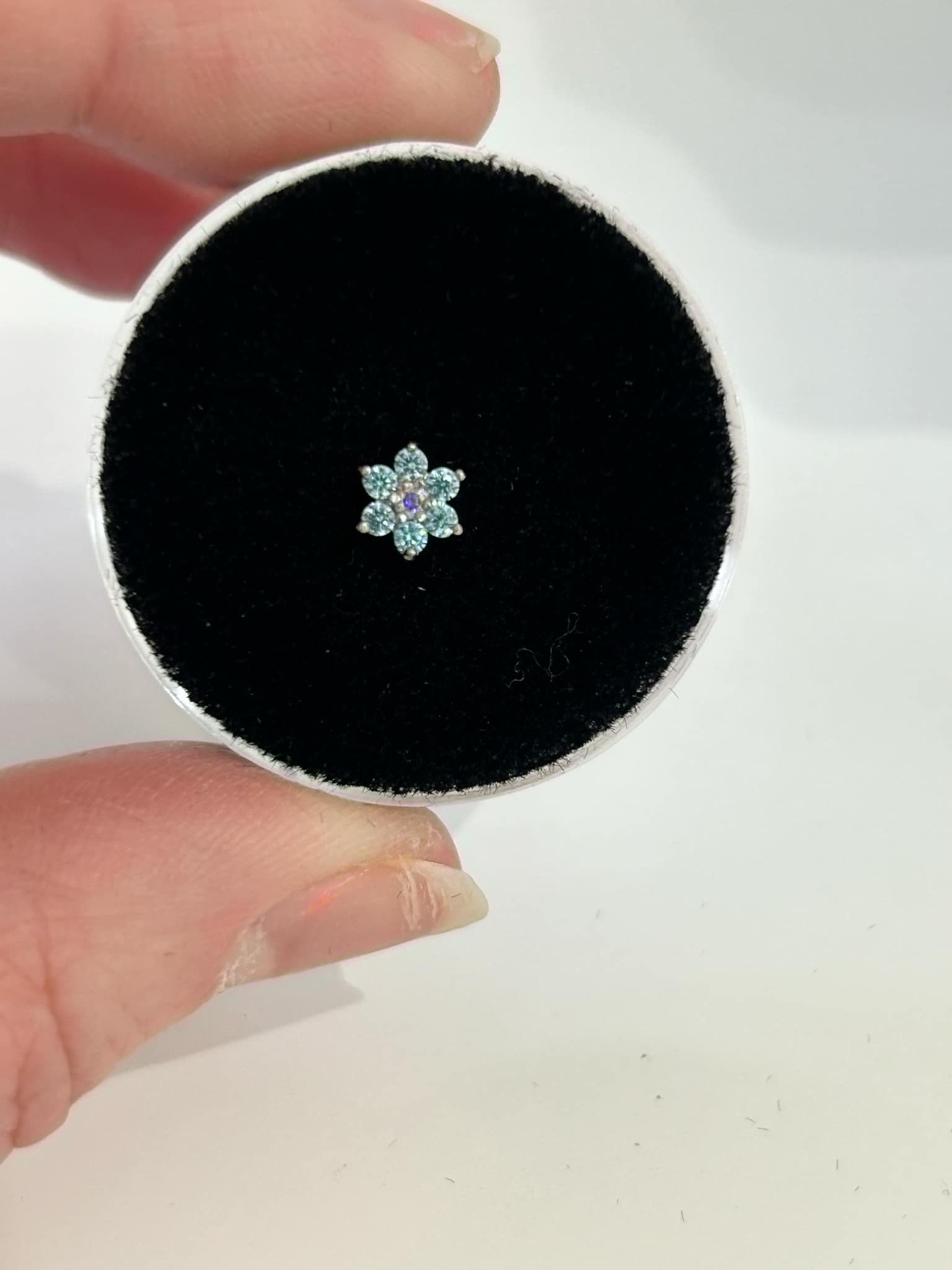 Claw Set Flower with 6 petals.