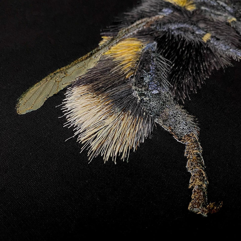 Thumbnail: Western Bumblebee