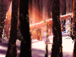 Forêt de la neige éternelle.jpg