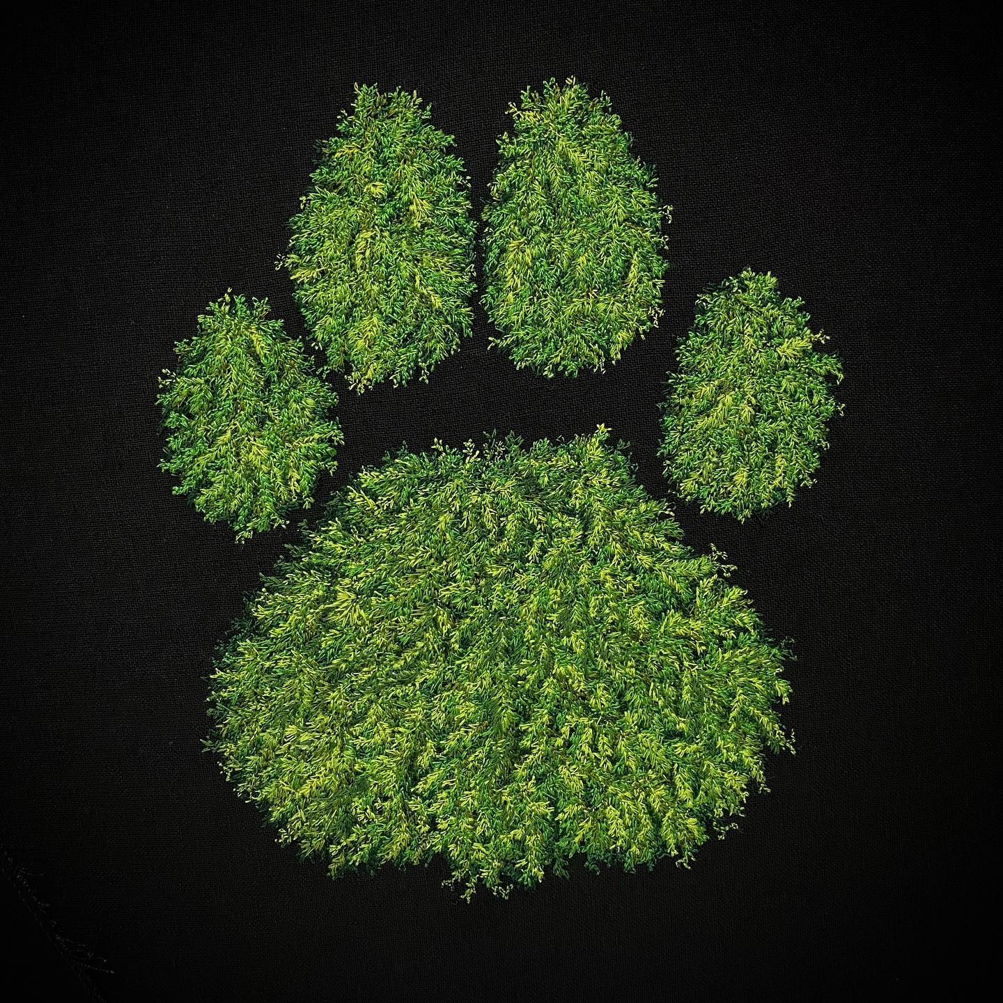 Mossy Lion Paw