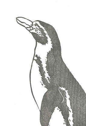 Observation - Jane Veveris Callan - Final.jpg