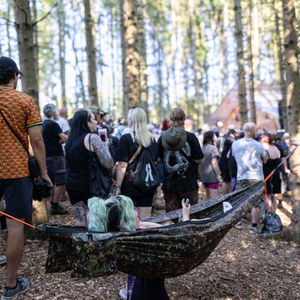 2000trees 2026