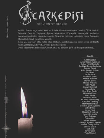 KELİMELER UZUN SÜRE TUTULAMAZKİ BEN HAPSEDEYİM / ŞİİR