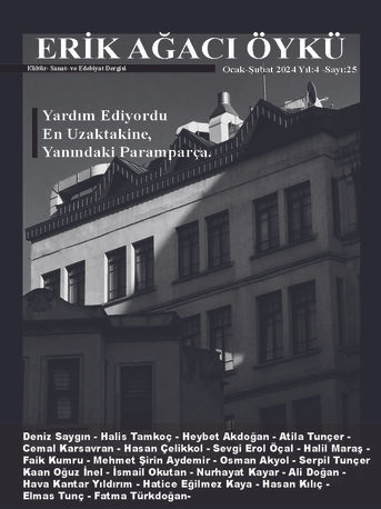 EN ÇOK DELİLİĞİNİ SEVDİM / Şiir