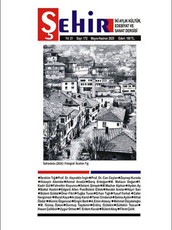 SİZ NASIL ÖLMEK İSTERDİNİZ / Şiir