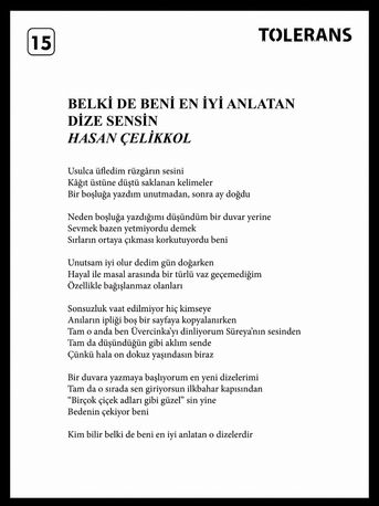 BELKİ DE BENİ EN İYİ ANLATAN DİZE SENSİN / Şiir