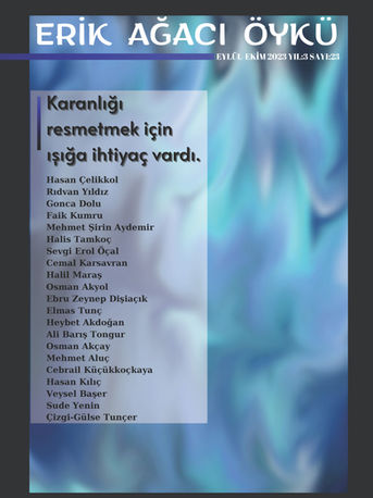 TERSİNE ÇEVİRMELİSİN BİR RESMİN İÇİNDEKİ BÜTÜN RENKLERİ / Şiir