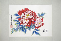 梁佩華 - (5) 真色