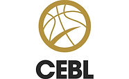 WSD Basketball Professional Basketball Training 14