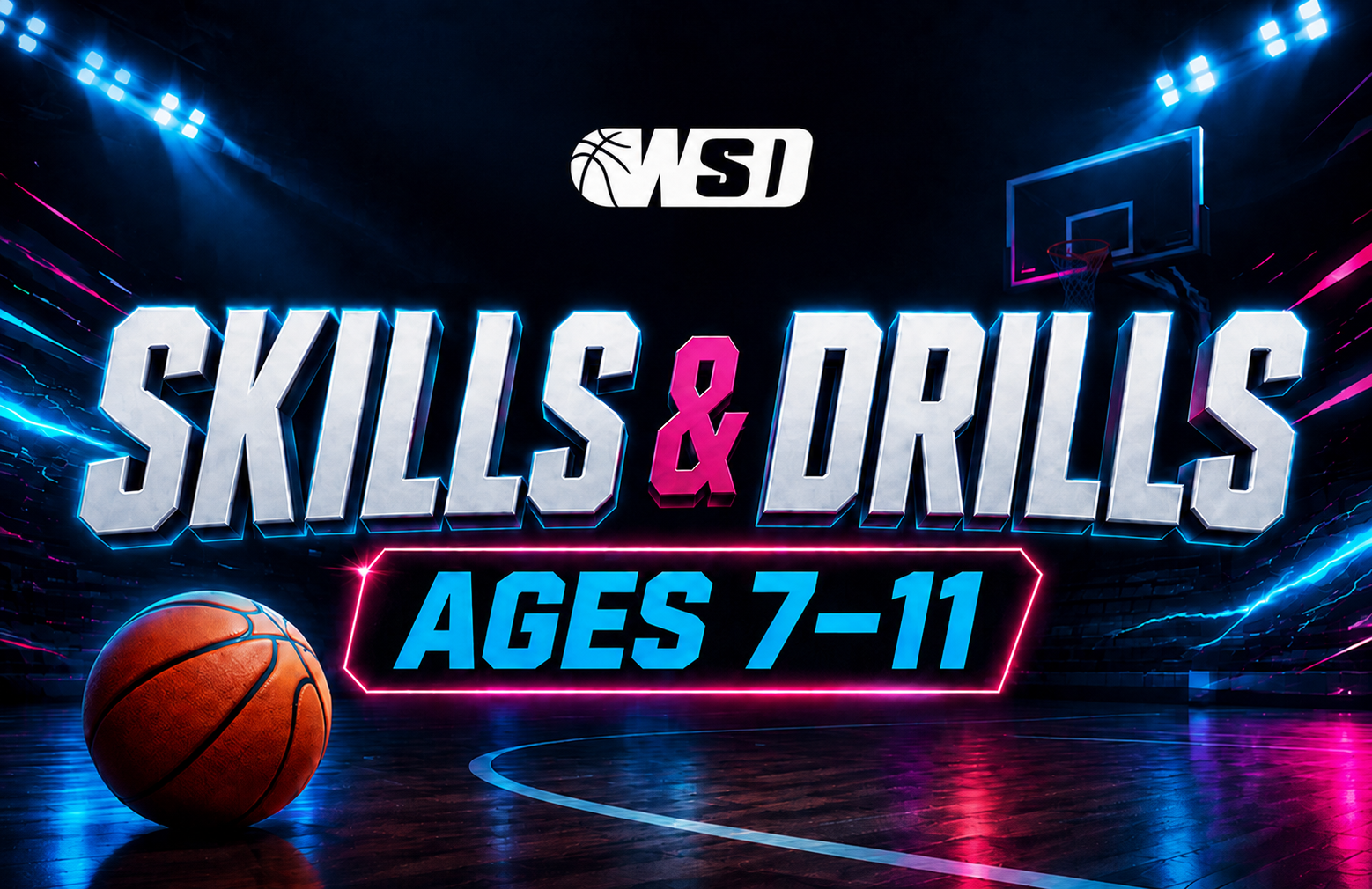 WSD Basketball Training All Ages Player Development