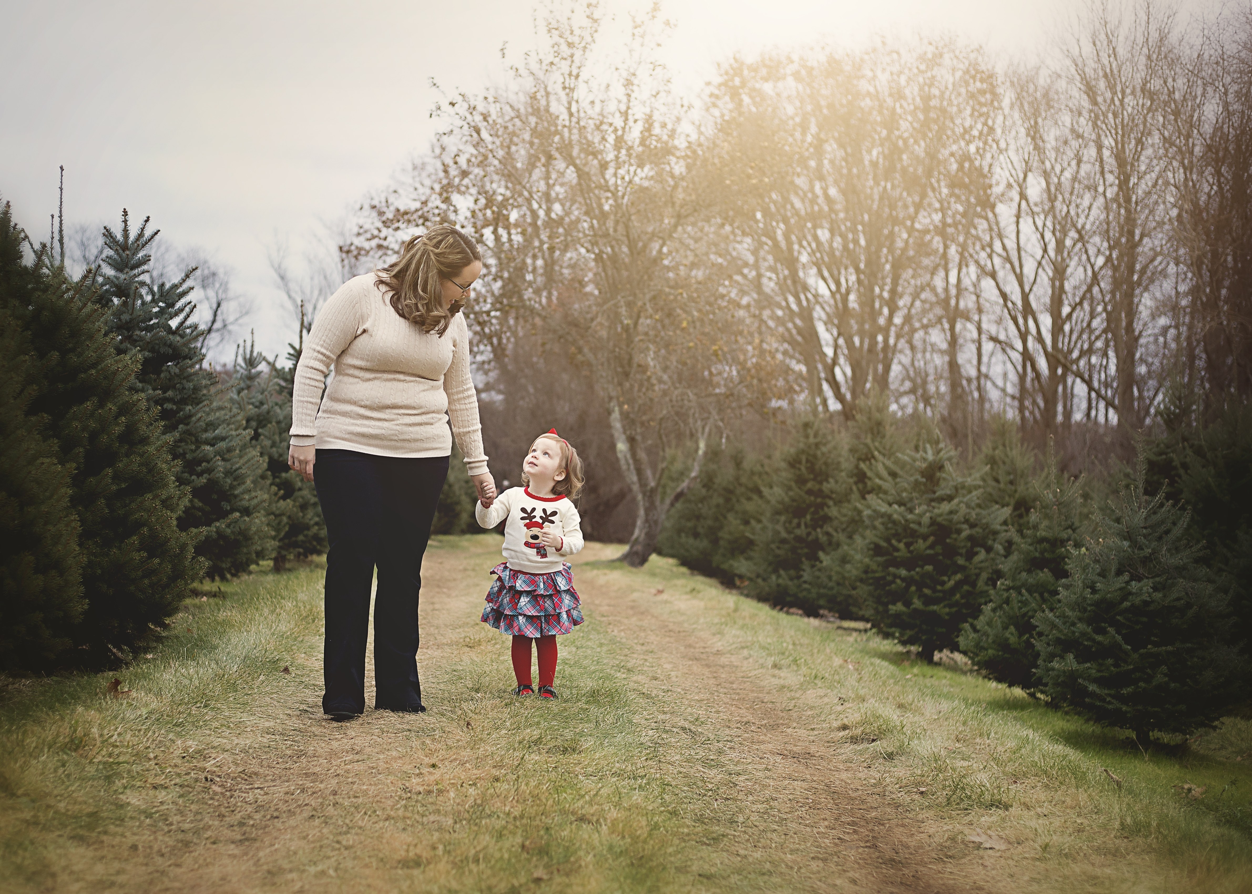 Christmas Tree Farm Mini Sessions Littlebitsnpieces
