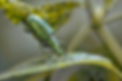 enhanced-image (6)-1.png