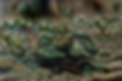 enhanced-image - 2024-03-26T155524.483.png