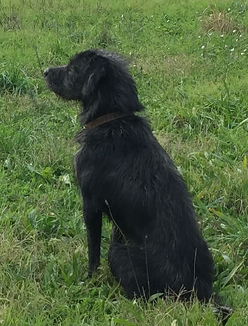 image1.jpeg