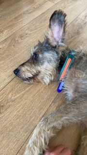 image10.jpeg