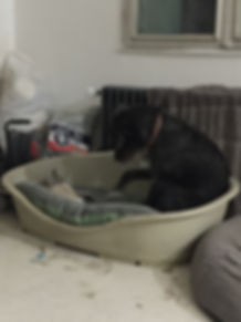 image44.jpeg
