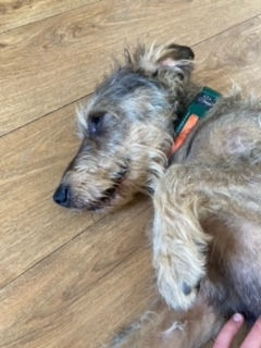 image12.jpeg