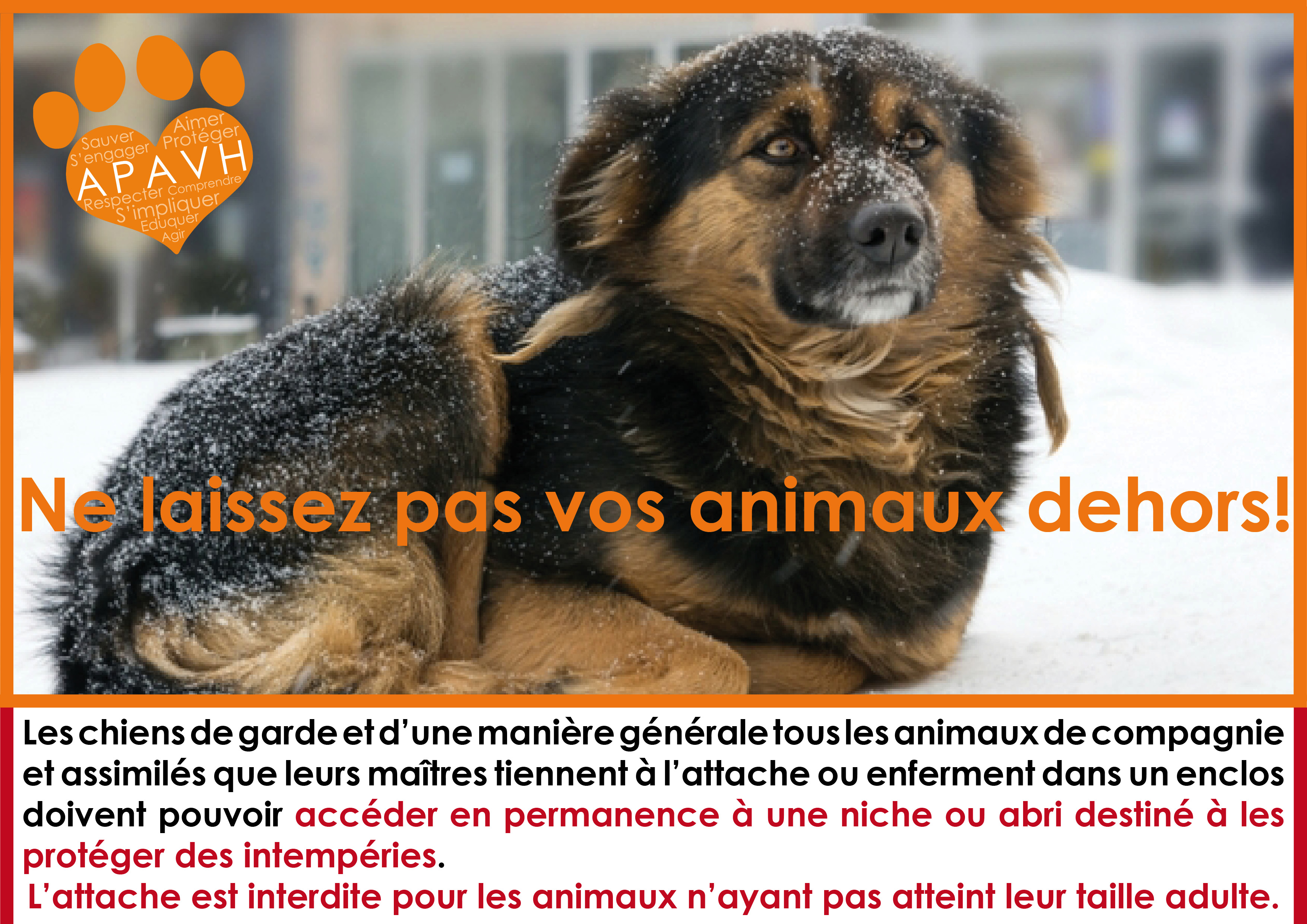 Le froid