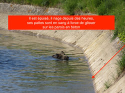 Impossible de sortir