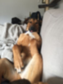 image3.jpeg