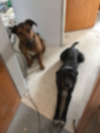 image2.jpeg