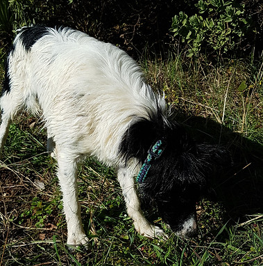 IMG-20190214-WA0002.jpeg
