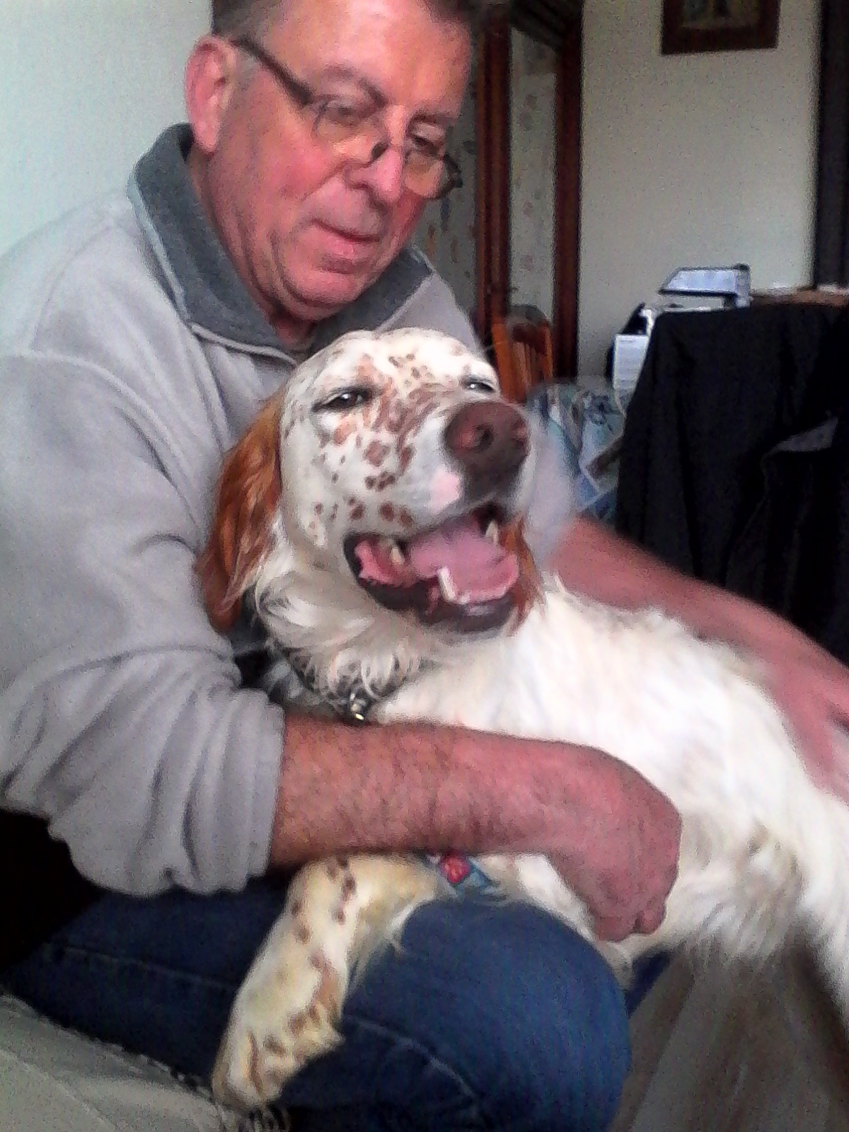 Nisco